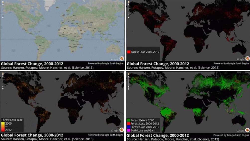 Google Map Ungkap 2 Juta Hektar Hutan Indonesia Ditebang pada 2011-2012